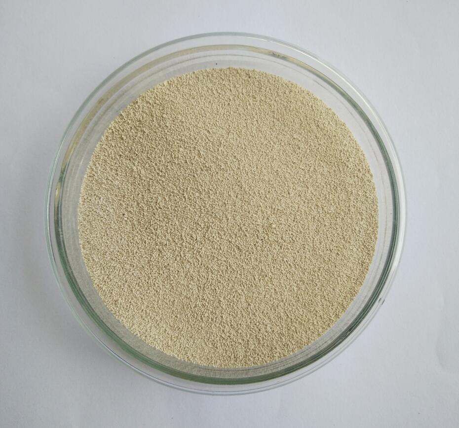 5e816c2144970.jpg 5e816c2144970.jpg