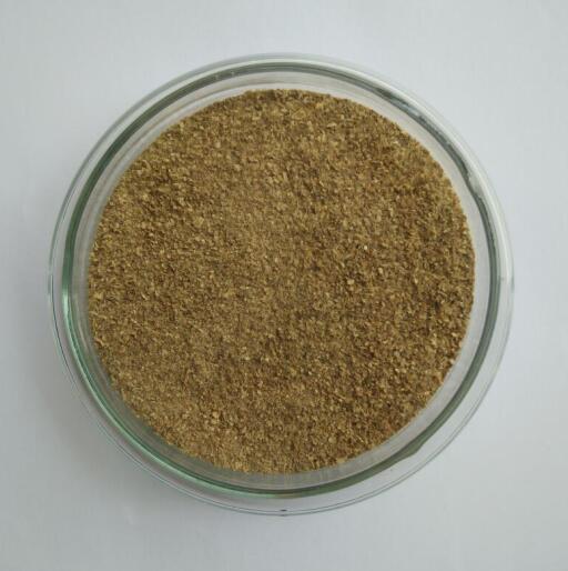 5e818461b43a9.jpg 5e818461b43a9.jpg