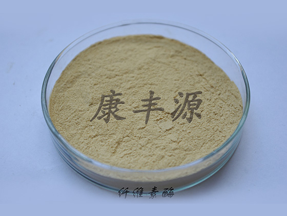 纖維素酶和果膠酶的作用 纖維素酶和果膠酶的作用