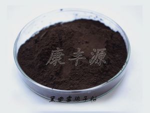 5f6d5aad92e6f.jpg 黑曲霉.jpg